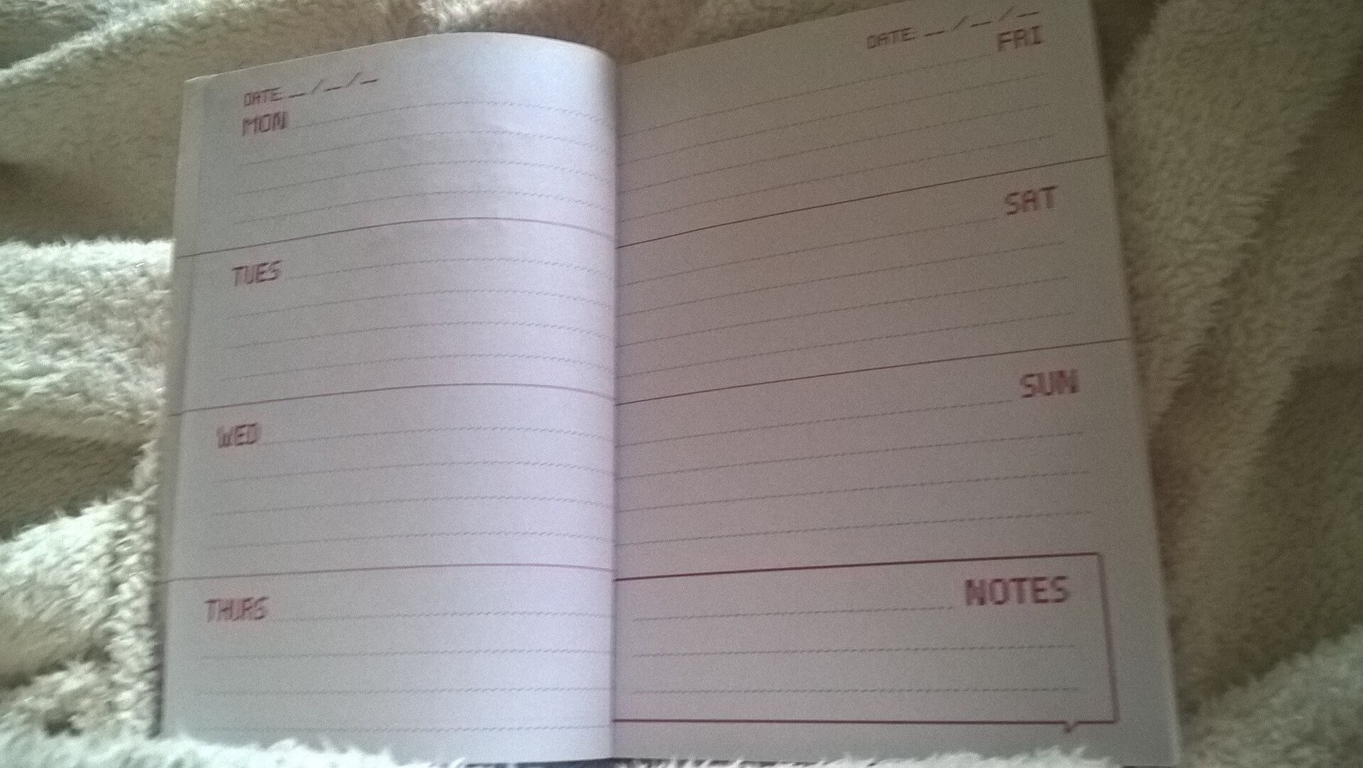 pages of my weekly planner