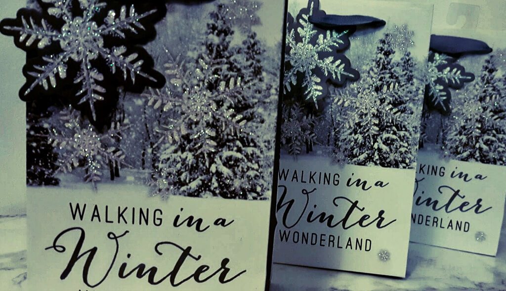 happy aunties day: the xmas edition close up of the gift bags