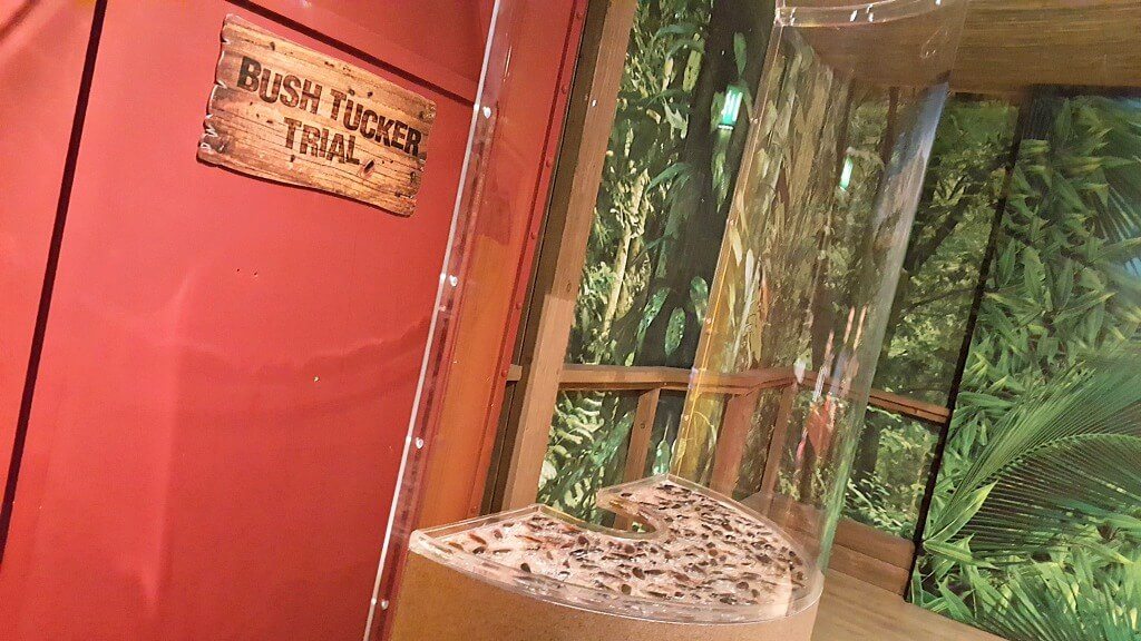 i'm a blogger get me out of here tussauds-bt-trial