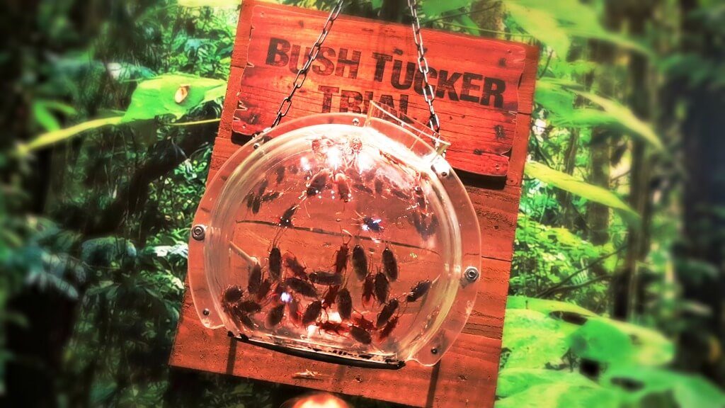 i'm a blogger get me out here tussauds-bushtucker-bowl