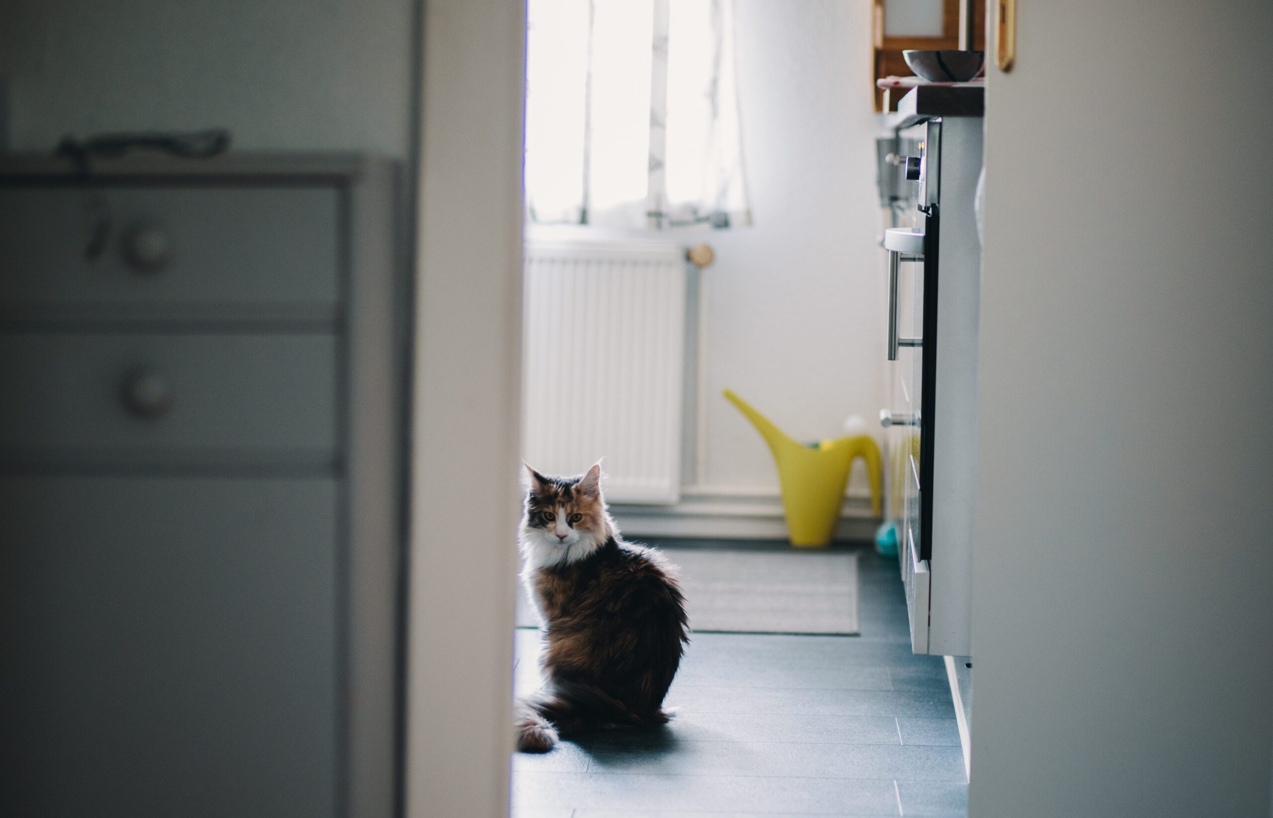 Why You Should Consider Underfloor Heating for Your Home.