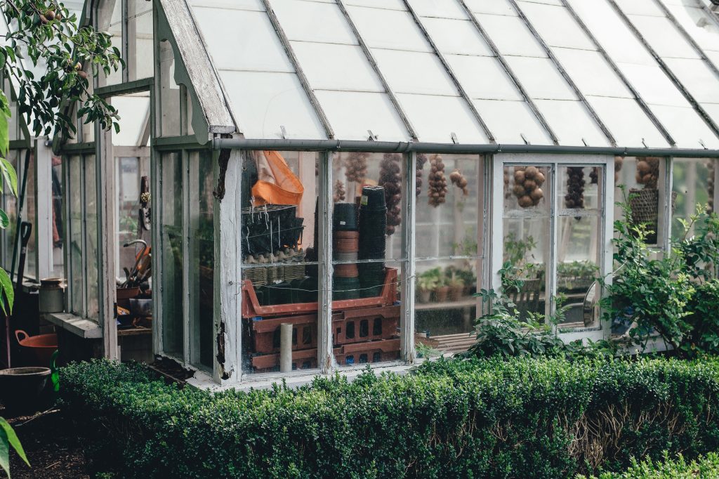 greenhouse with bushes - improve your garden