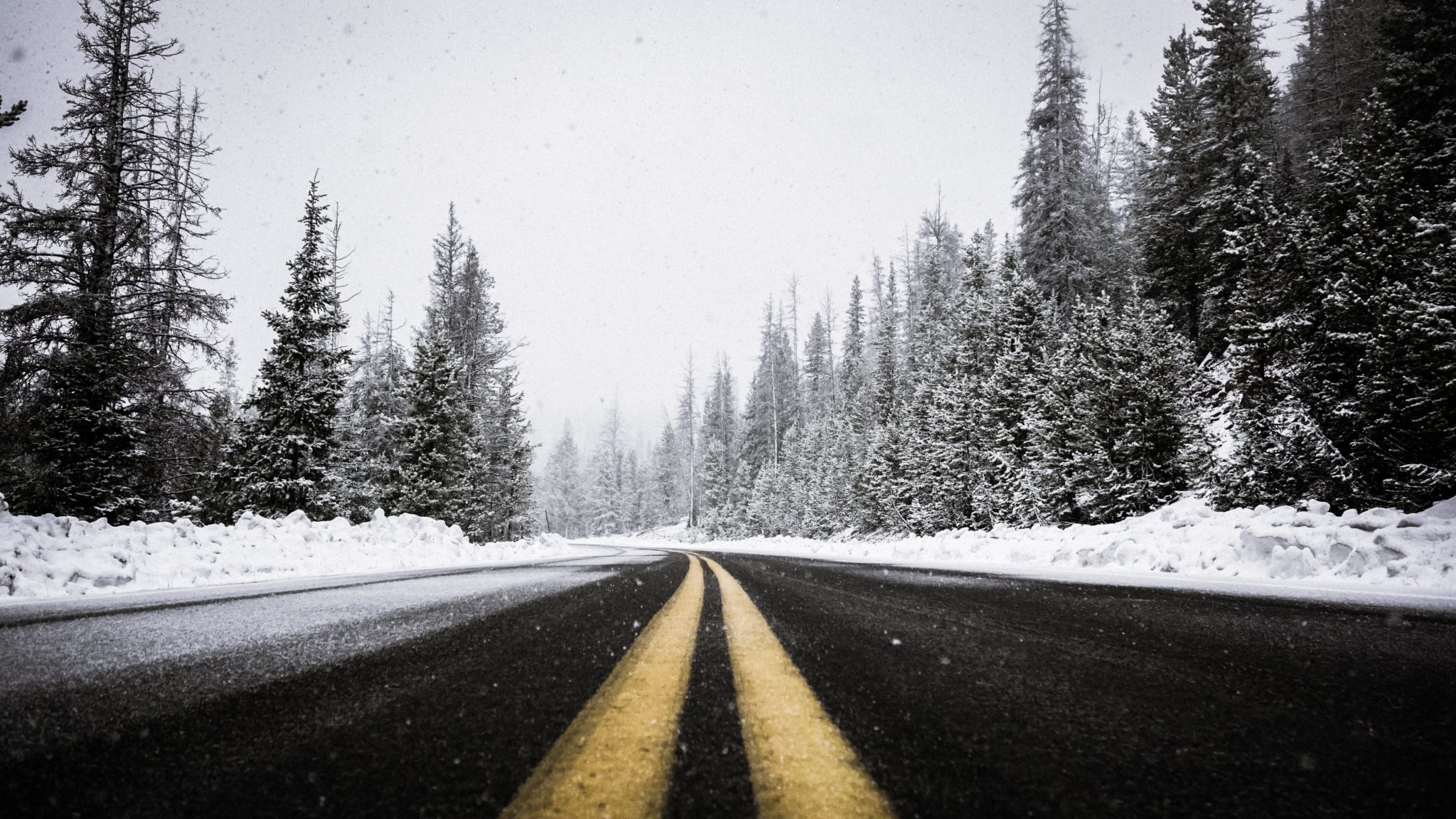 Car Safety This Christmas