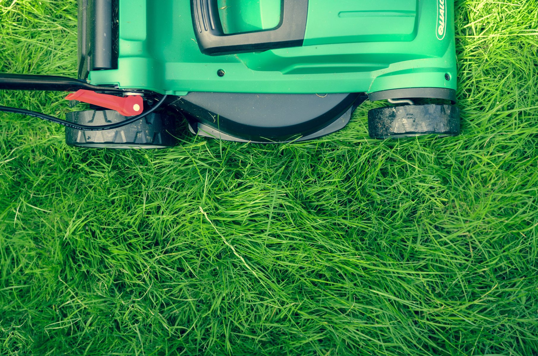 Choosing the Right Landscaping Company
