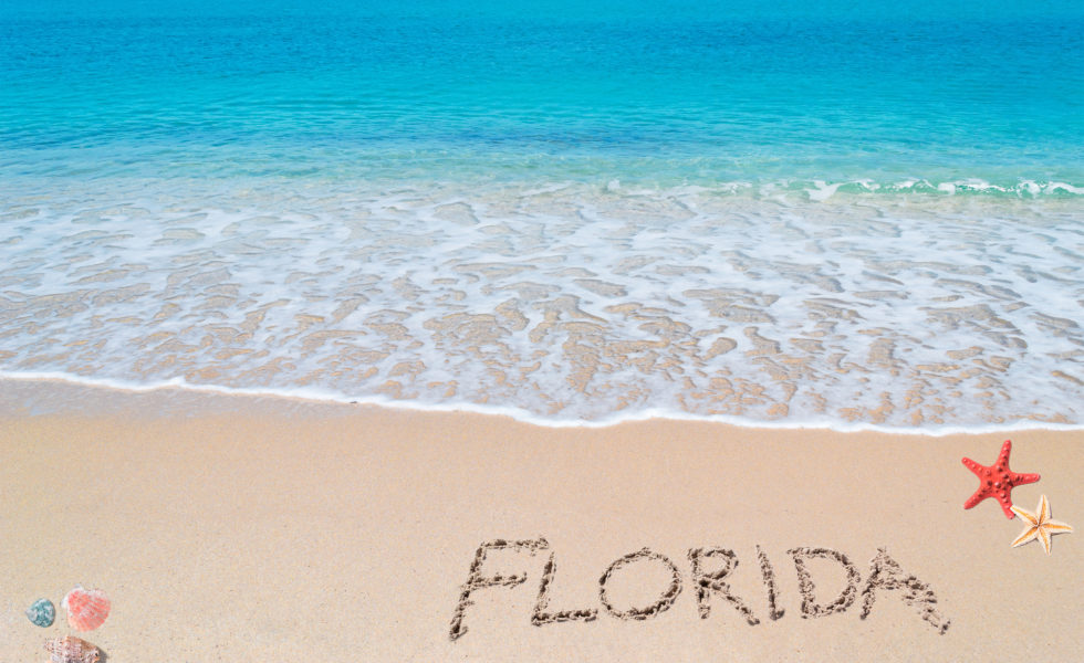 turquoise water and golden sand with shells and sea stars and "florida" written on it