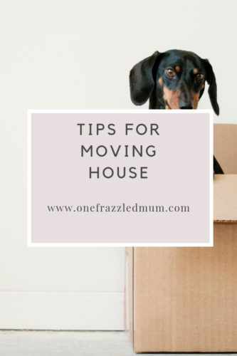 a dog in a cardboard box in a pinterest image