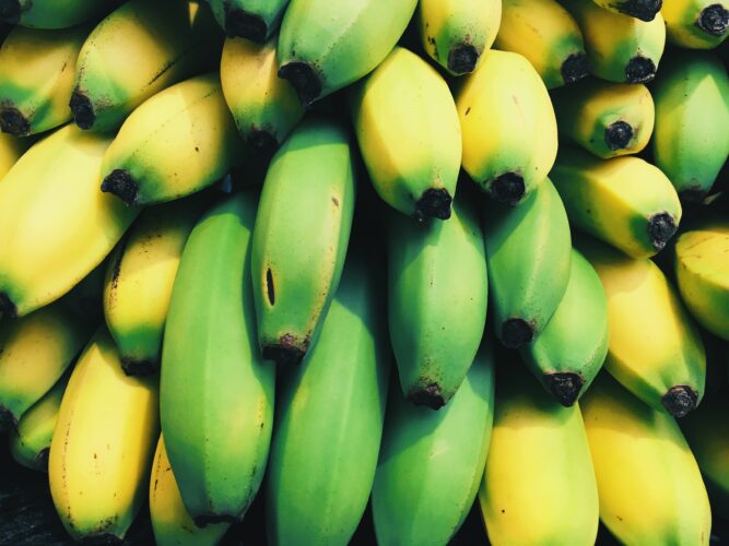 a close up shot of bananas