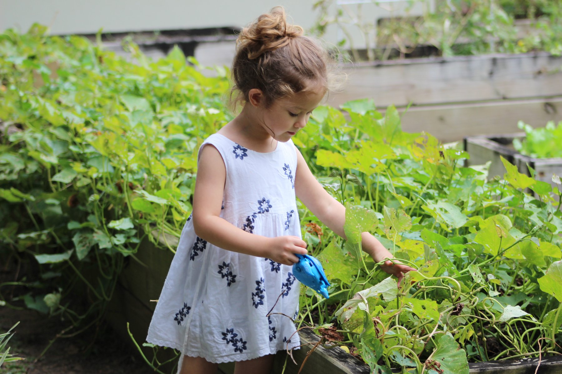 young girl in a white dress picking flowers