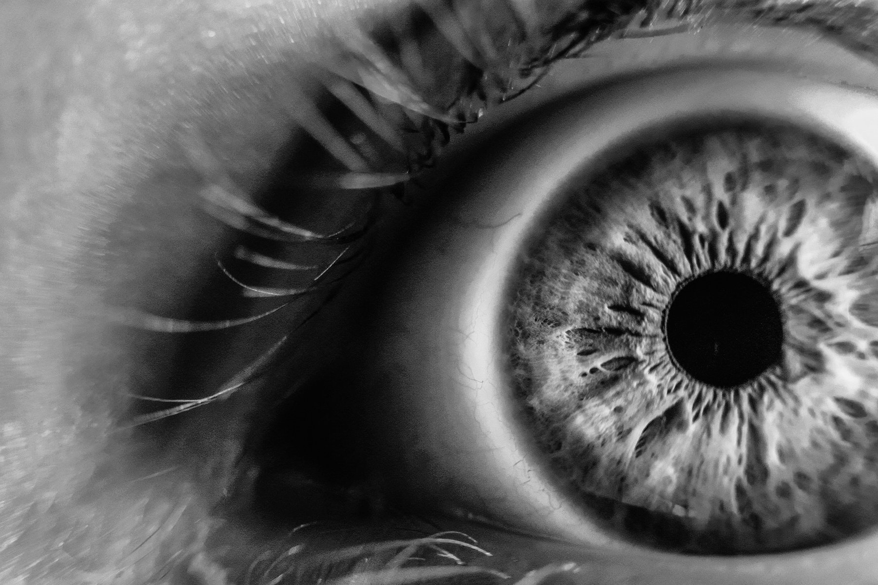 See Clearly How To Best Care For Your Eyes