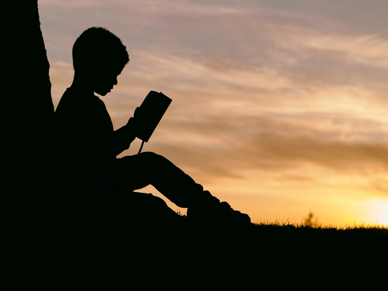 sihouette of a child reading under a tree with sunset in background