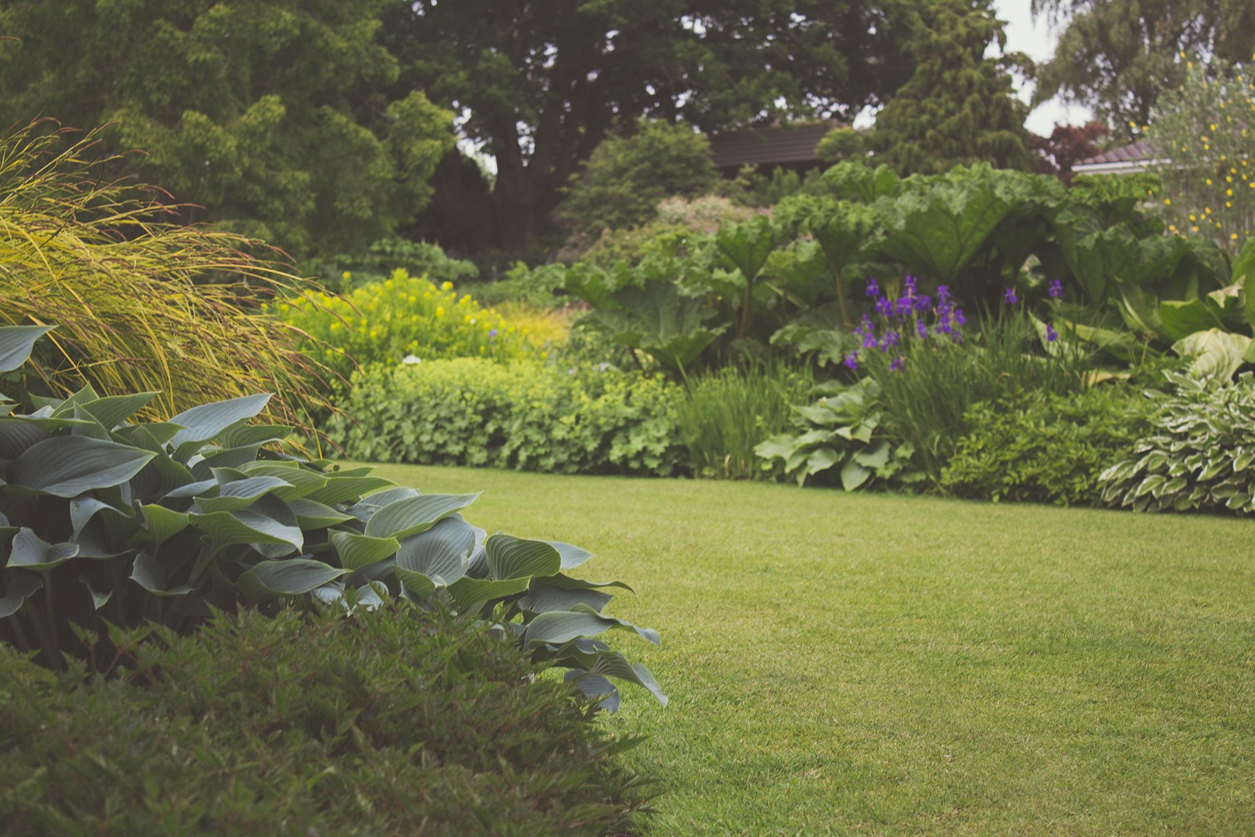 an image of a manicured garden with well kept borders