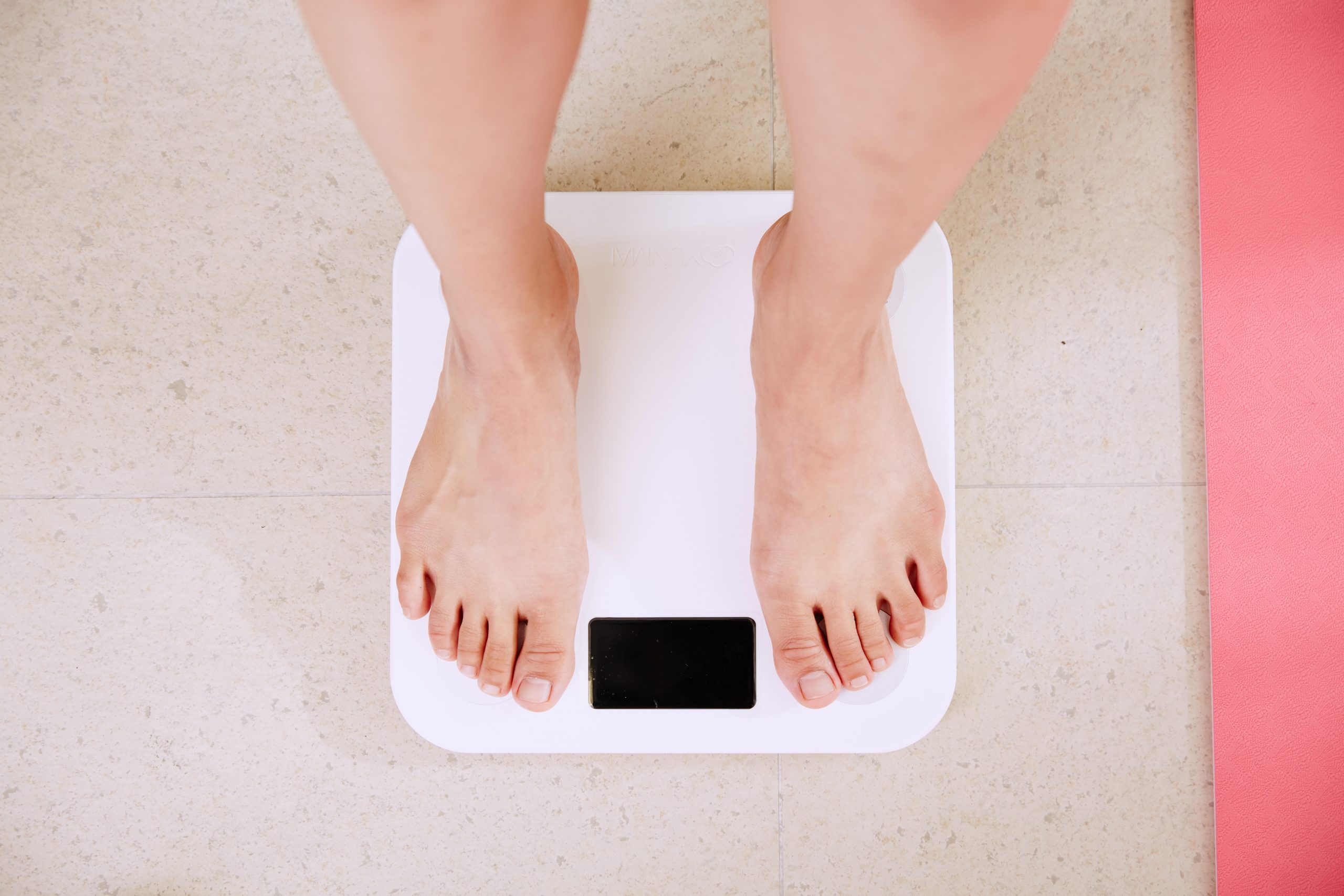 Is Being Fat a Bad Thing?