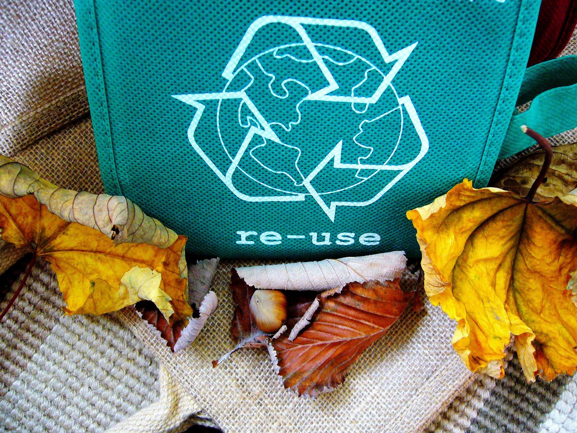 eco friendly bag