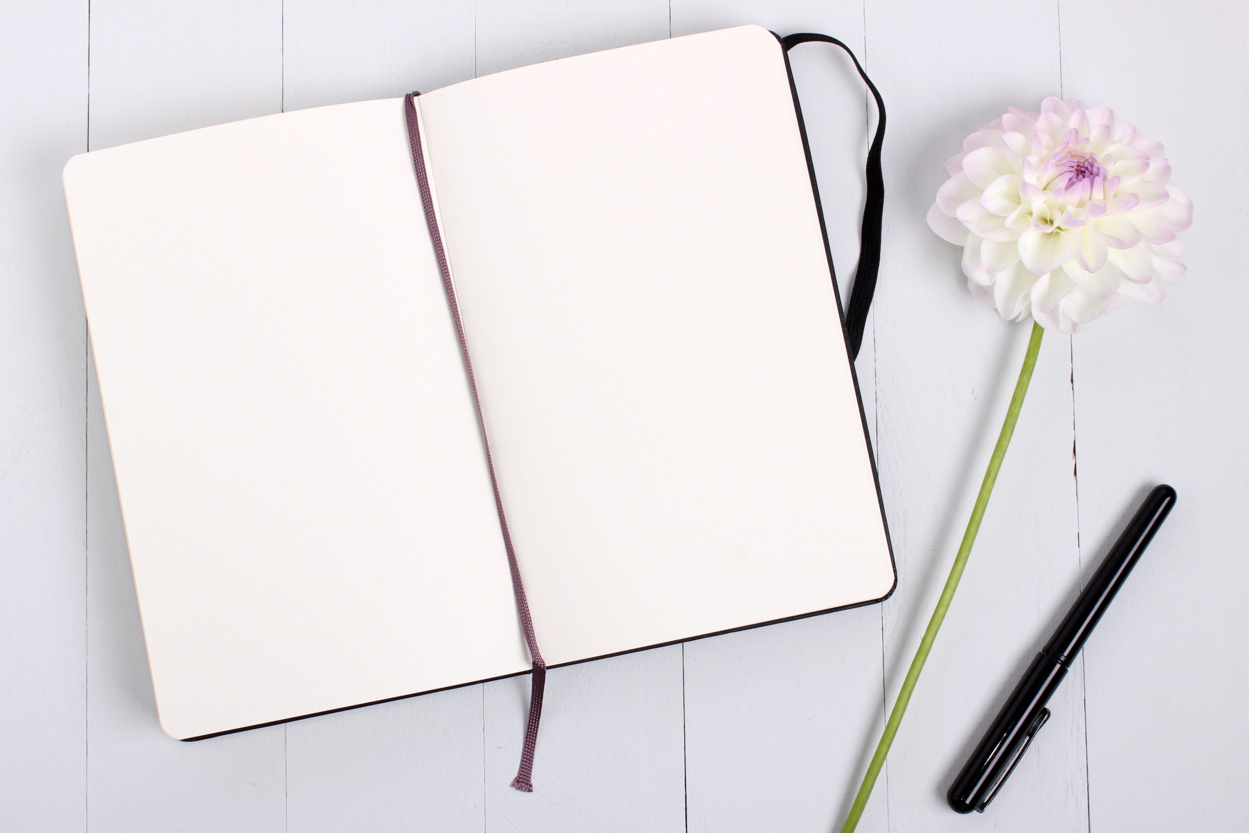 blank notebook with pens
