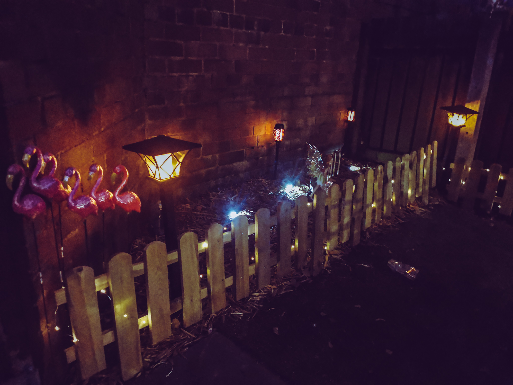 nighttime picture of a fairy garden
