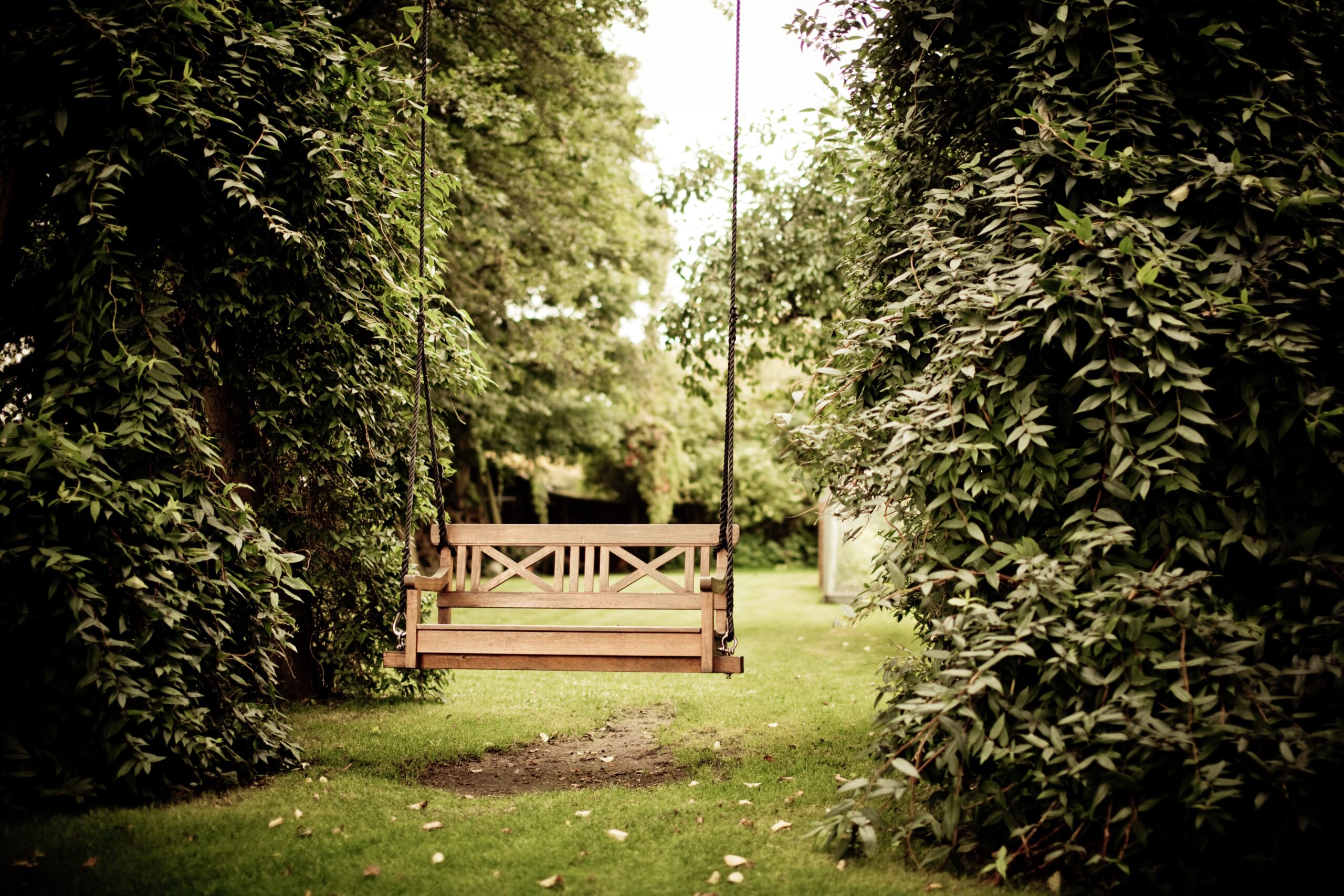a bench hanging from a tree