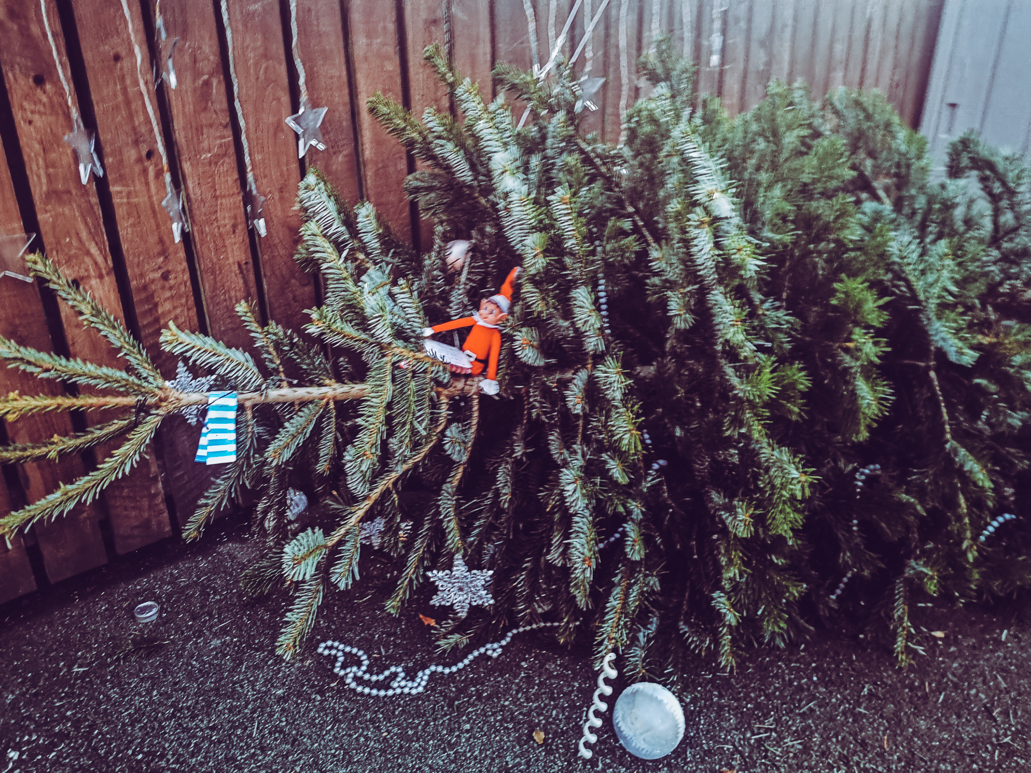 a real christmas trees with whire and silver decorations lying sideways in the ground with an elf sitting in the tree