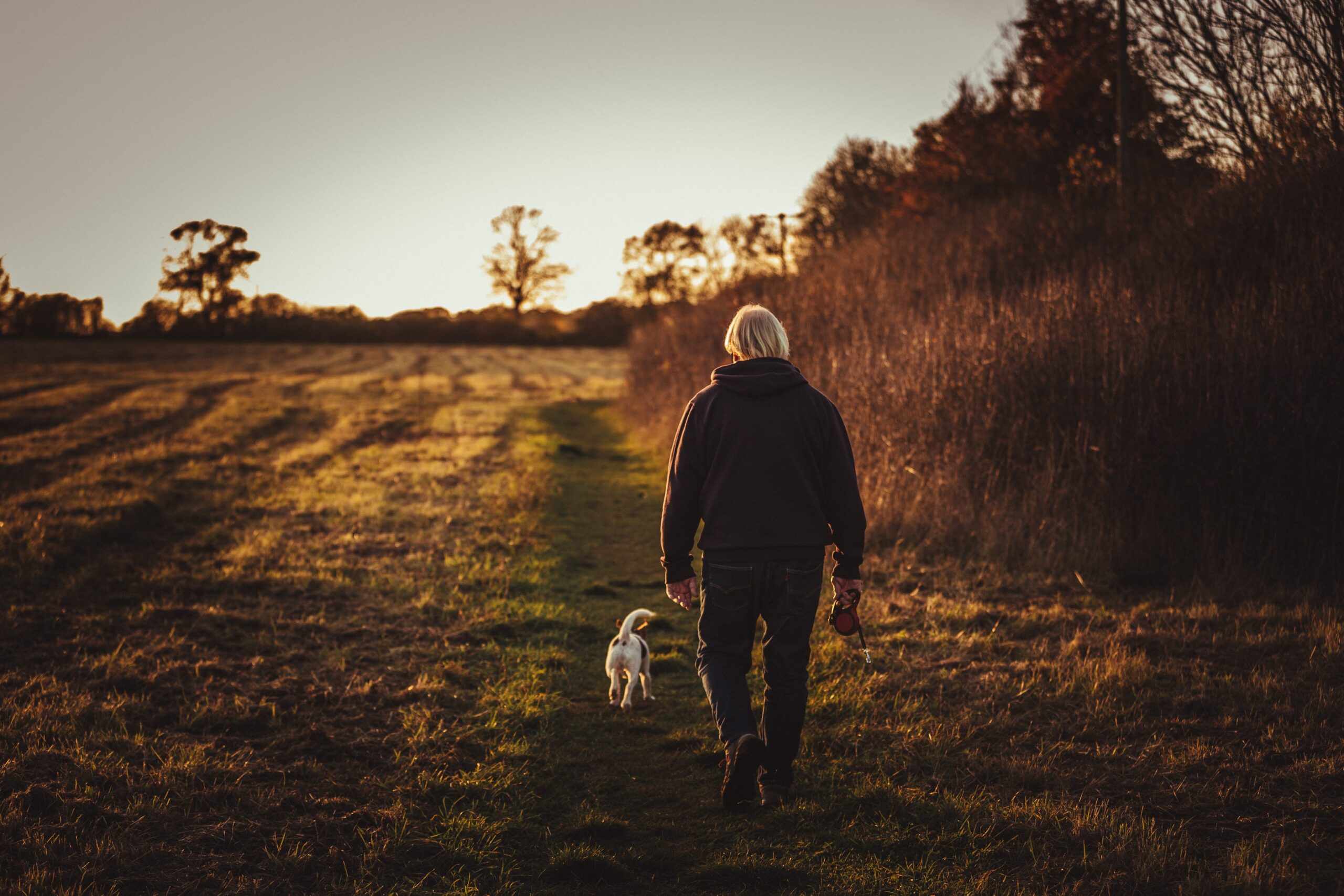 a dusk picture of a man walking a dog