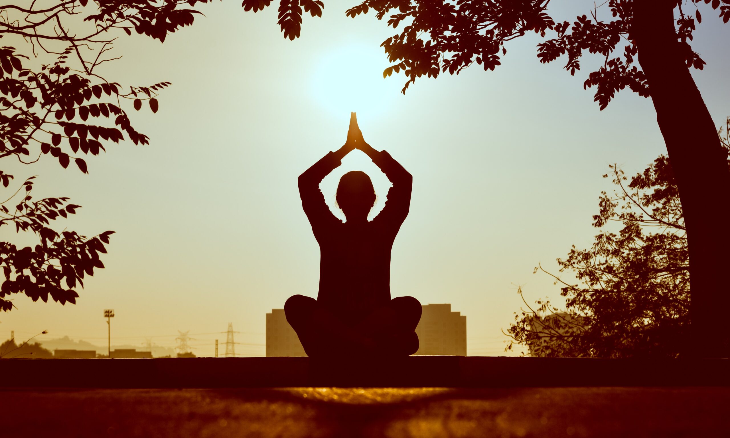 How Working Out Can Improve Your Life
