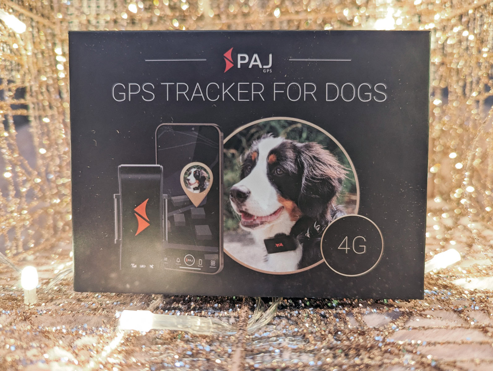 the paj gps dog tracker in a light up background
