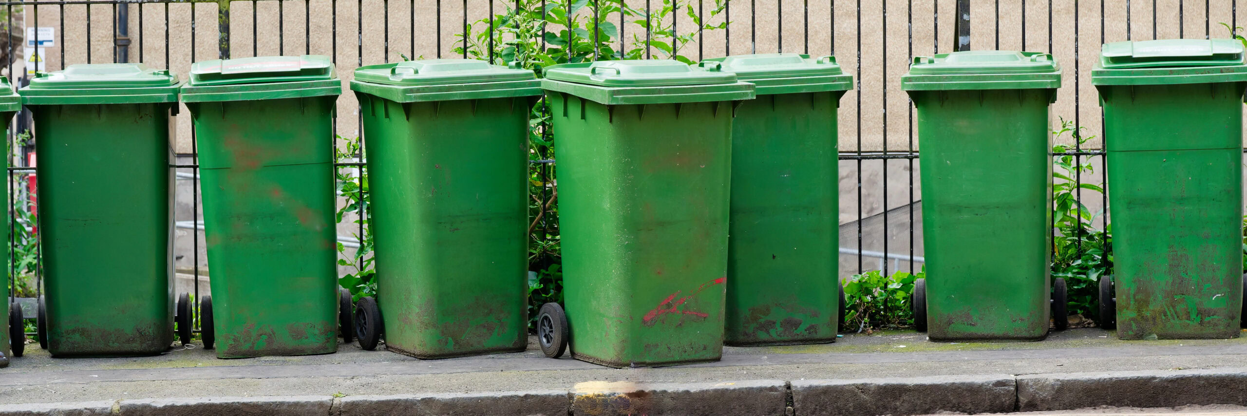 Row of standard UK wheelie bins lined up on a residential street ready for collection