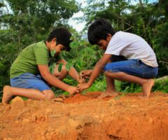 Ensuring Your Child Grows Up Environmentally Conscious